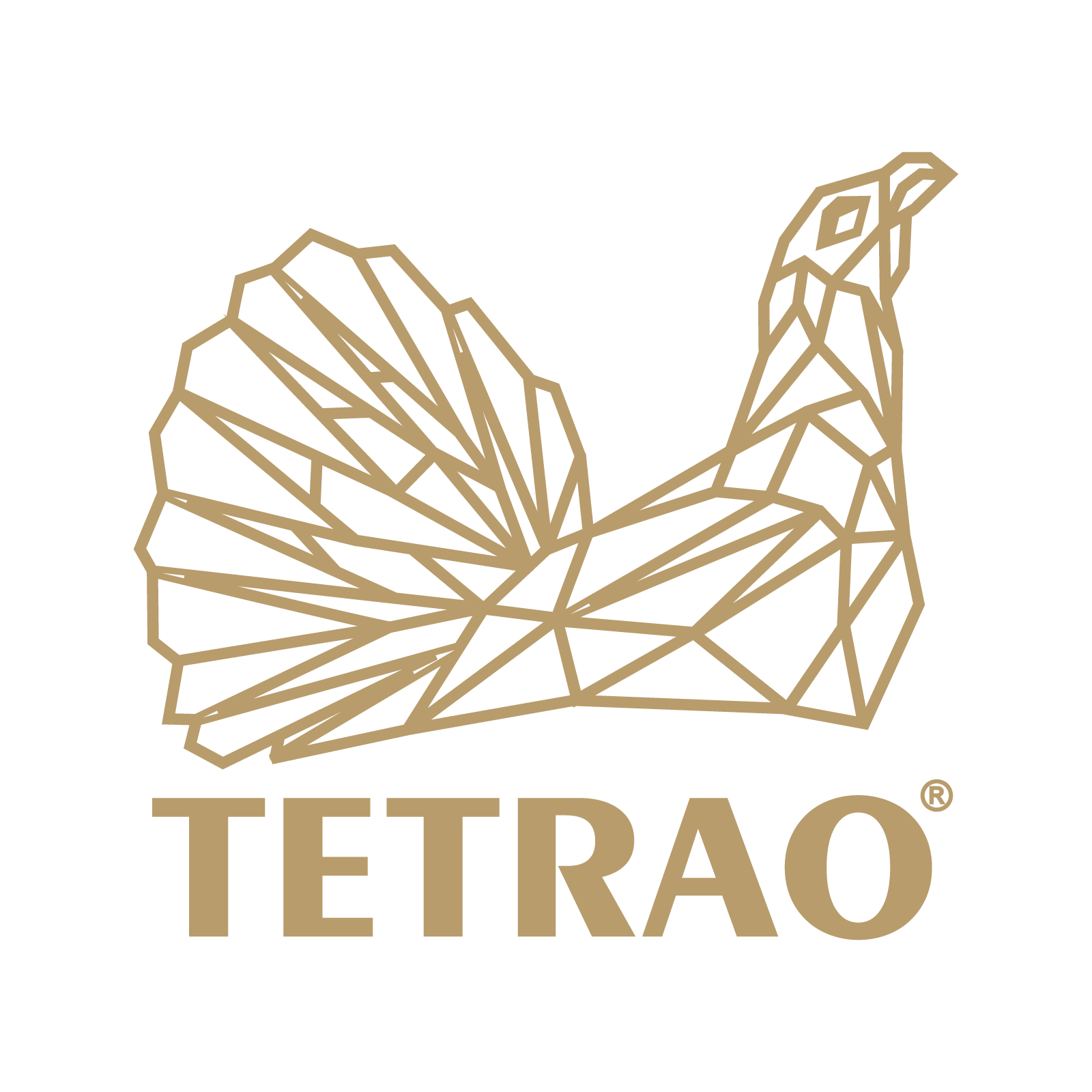TETRAO - príbeh značky so šľachetným úmyslom | IBO.sk