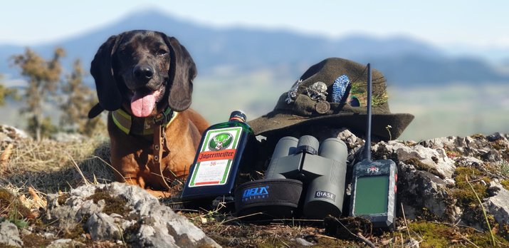 Pes pod kontrolou s GPS Dogtrace - recenzia z praxe 