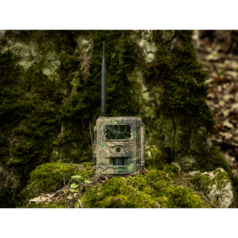 Fotopasca TETRAO Spromise S328 30Mpx 940nm MMS/4G - O2 SIM karta ZADARMO 3