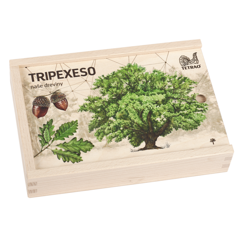Vzdelávacie tripexeso TETRAO - lesné dreviny, 24 dielikov