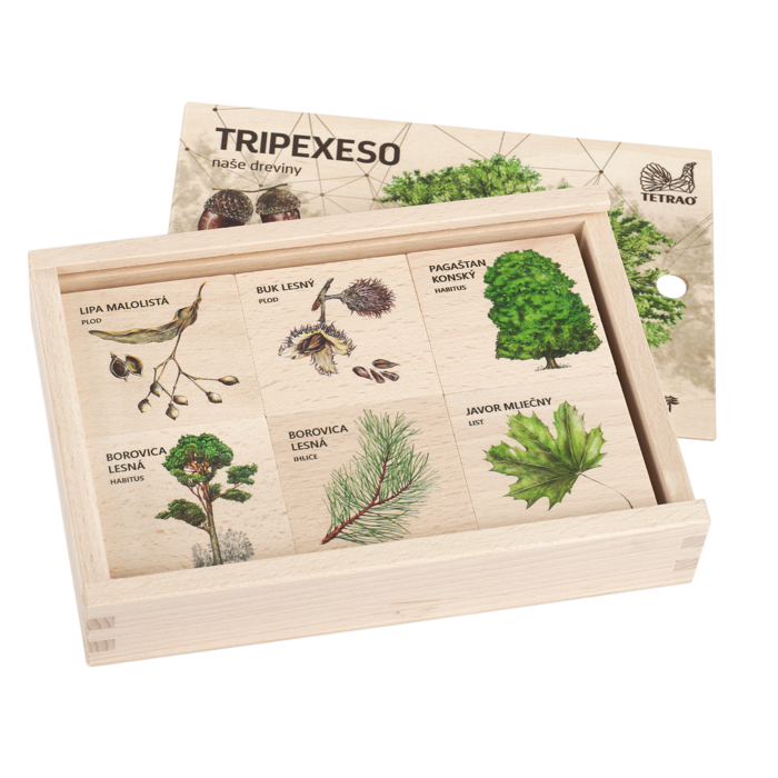 Vzdelávacie tripexeso TETRAO - lesné dreviny, 24 dielikov 1