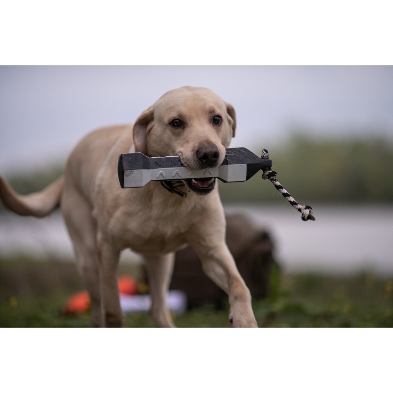 Výcvikový gumový bumper pre psa Flasher – čiernobiely 2