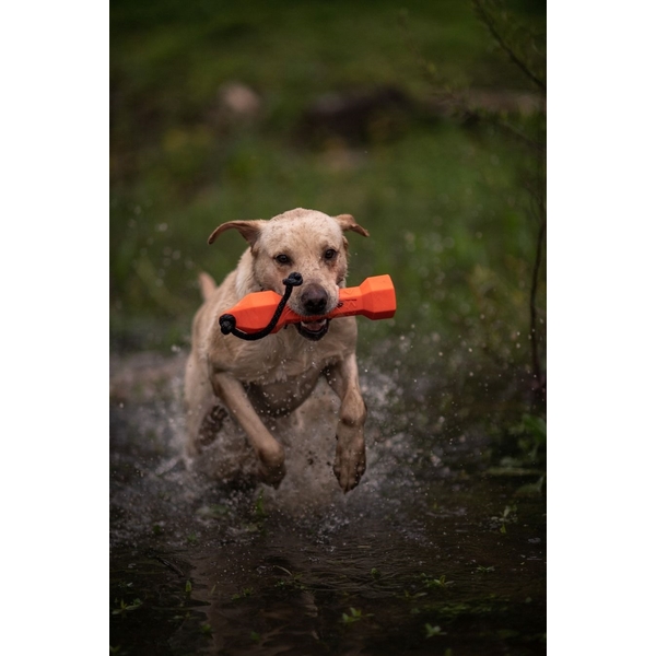Výcvikový gumový bumper pre psy – oranžový 1