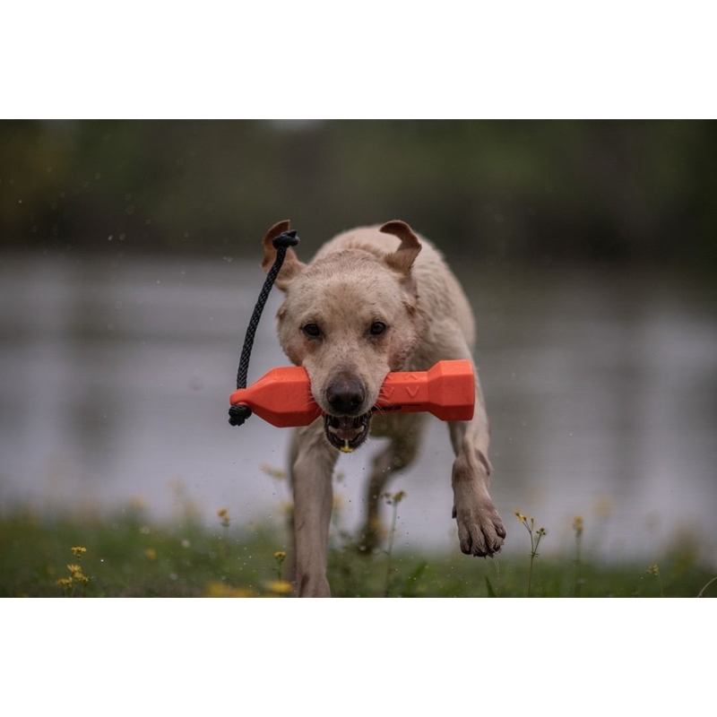Výcvikový gumový bumper pre psy – oranžový 3
