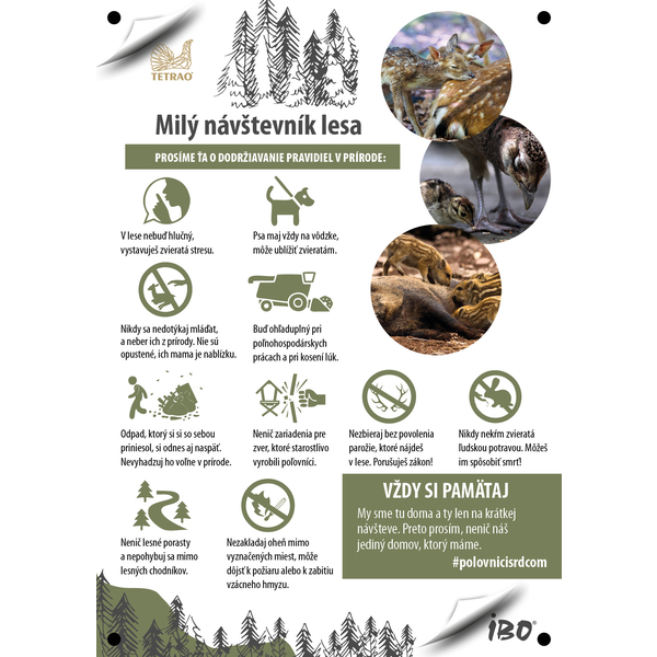 Informačná tabuľa pre návštevníkov lesa