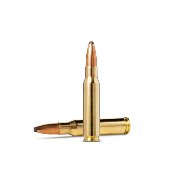 Norma Oryx 308 Winchester 180 gr 1