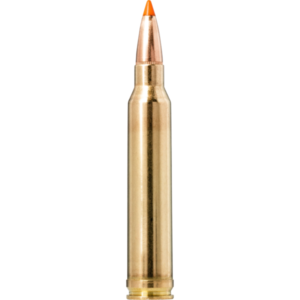 Norma Tipstrike 300 Win. Mag. 170gr
