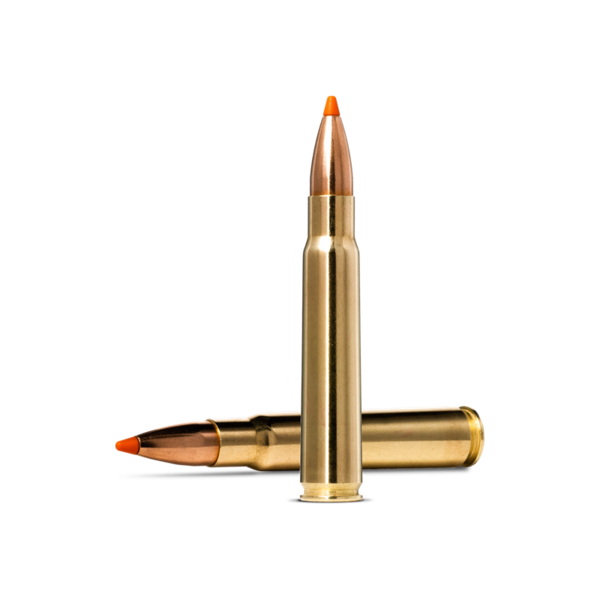 Norma Tipstrike 8x57 JRS 180 gr 1