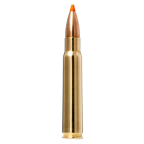 Norma Tipstrike 8x57 JRS 180 gr