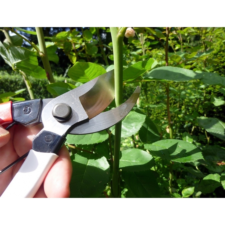 Profesionálne záhradné nožnice Okatsune 104 3