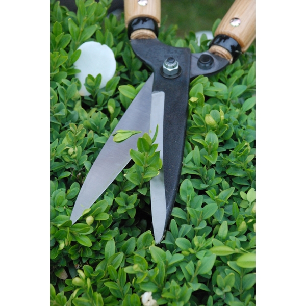 Profesionálne záhradné nožnice Okatsune 204 3