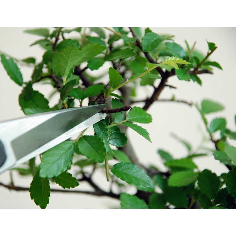 Profesionálne záhradné nožnice Okatsune 207 2