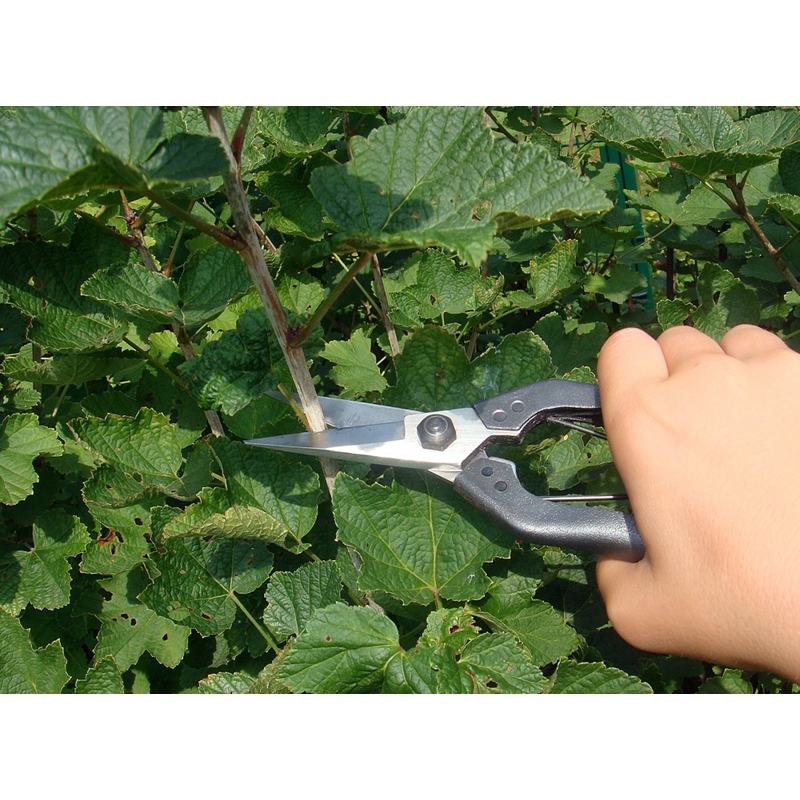 Profesionálne záhradné nožnice Okatsune 207 4