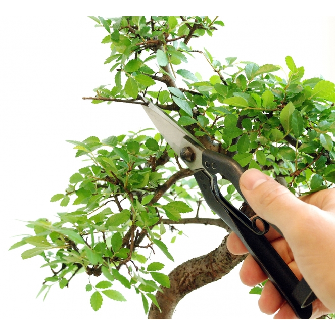 Profesionálne záhradné nožnice Okatsune 207 8