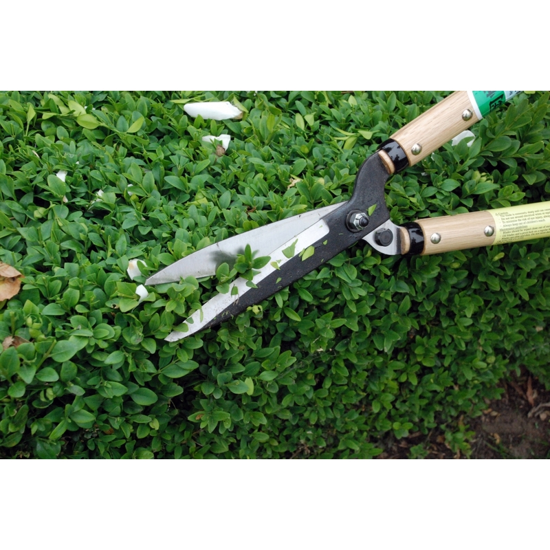 Profesionálne záhradné nožnice Okatsune 216 1