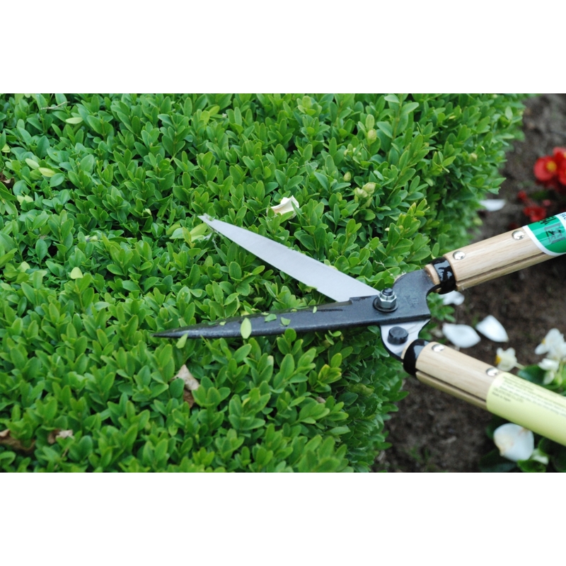 Profesionálne záhradné nožnice Okatsune 216 2
