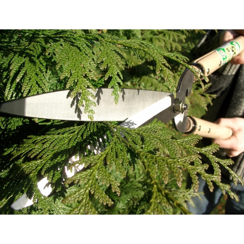 Profesionálne záhradné nožnice Okatsune 231 3