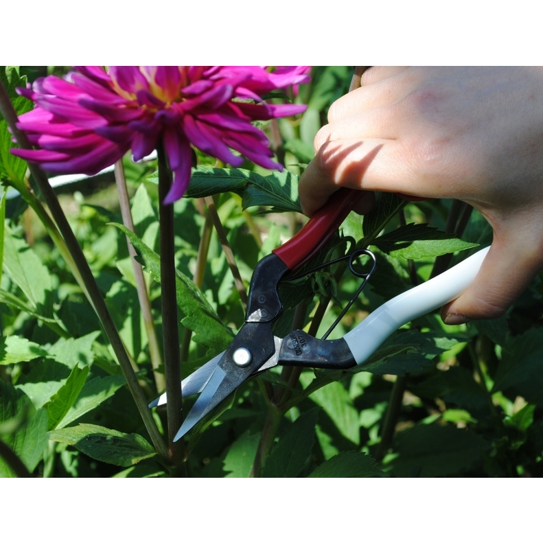 Profesionálne záhradné nožnice Okatsune 307 2