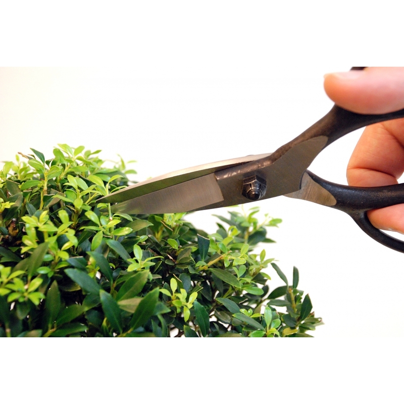 Záhradné nožnice na bonsaje Okatsune 201 2