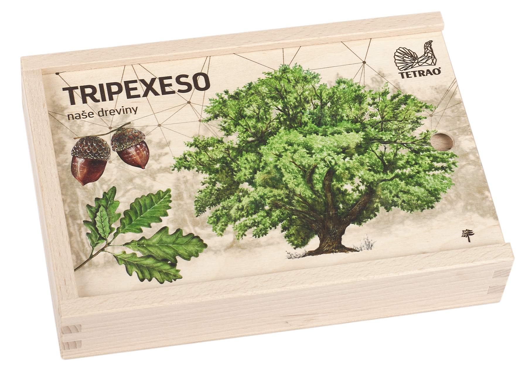 Vzdelávacie tripexeso TETRAO - lesné dreviny, 24 dielikov  