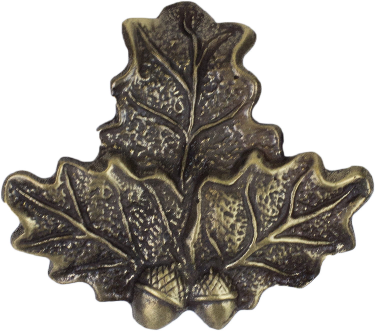 Ozdobné dubové listy pod diviačie kly - bronzovej farby   