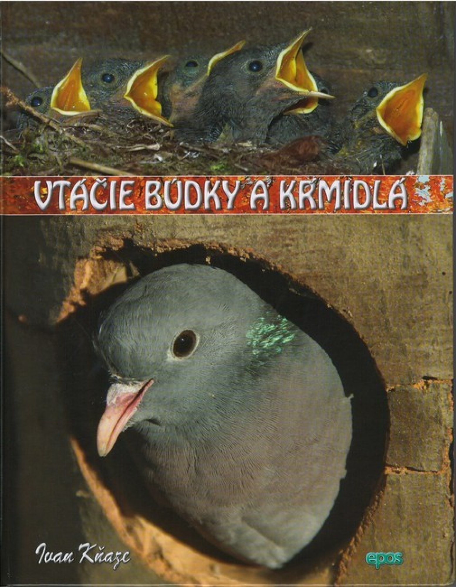 Kniha Vtáčie búdky a kŕmidlá  