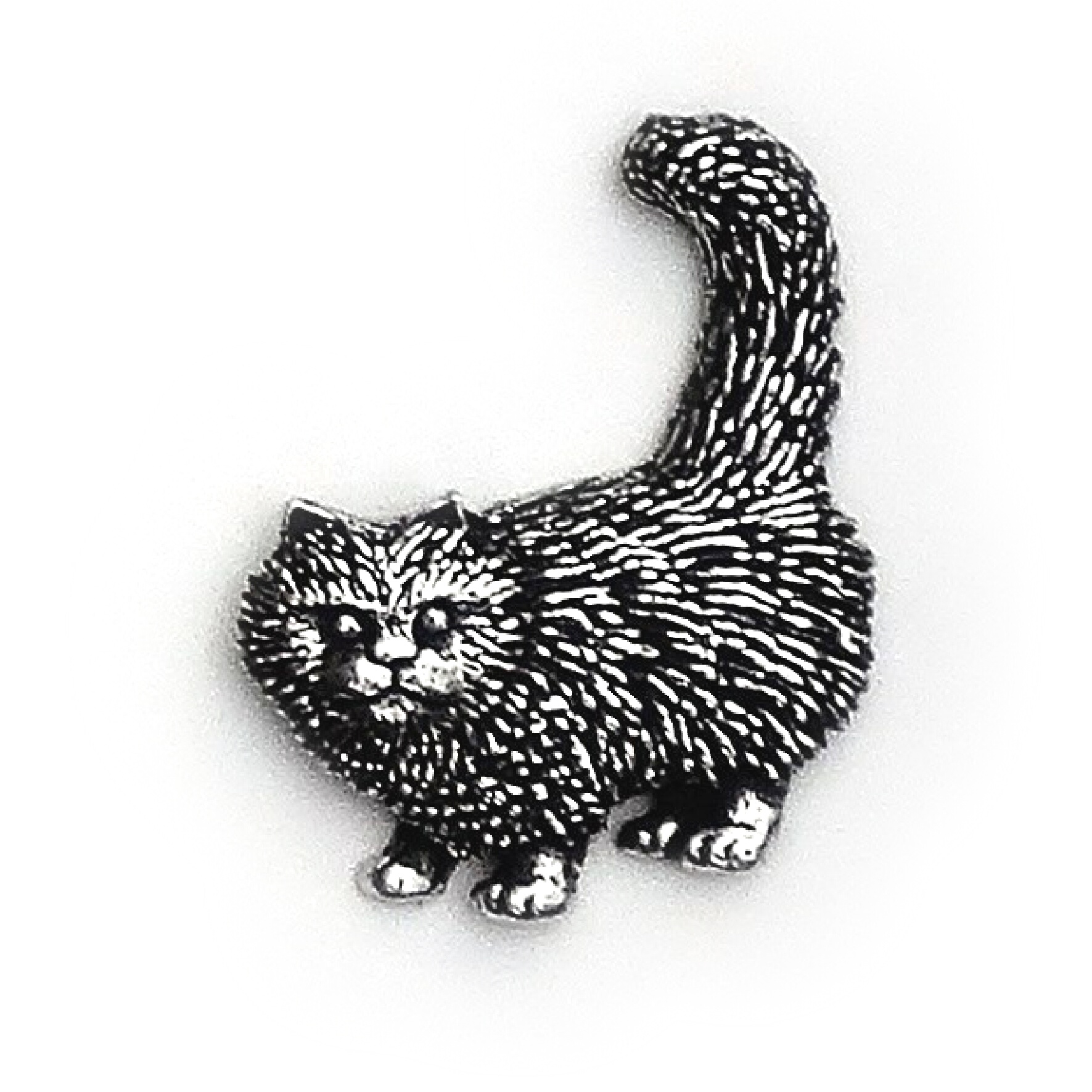 Odznak mačka