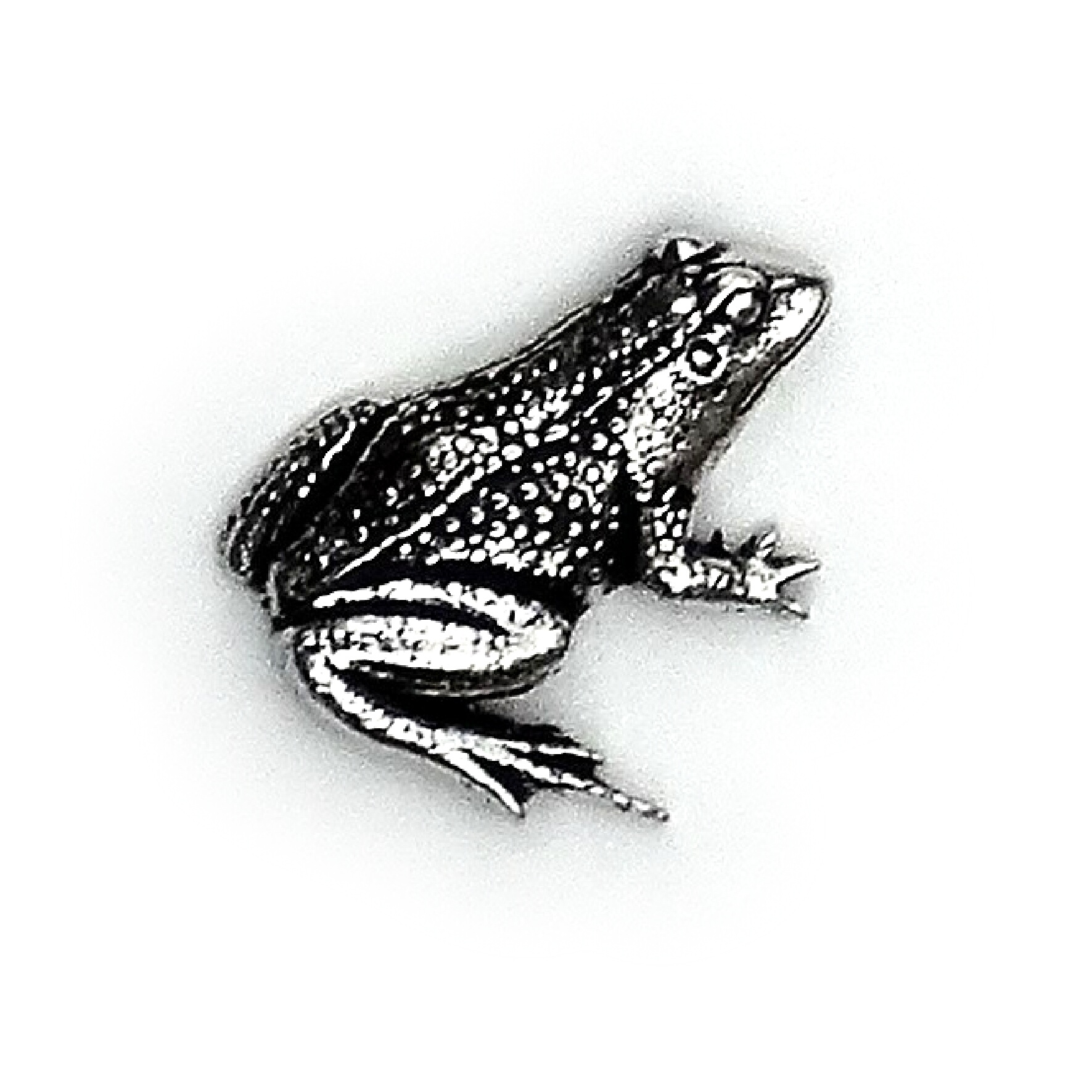 Odznak žaba