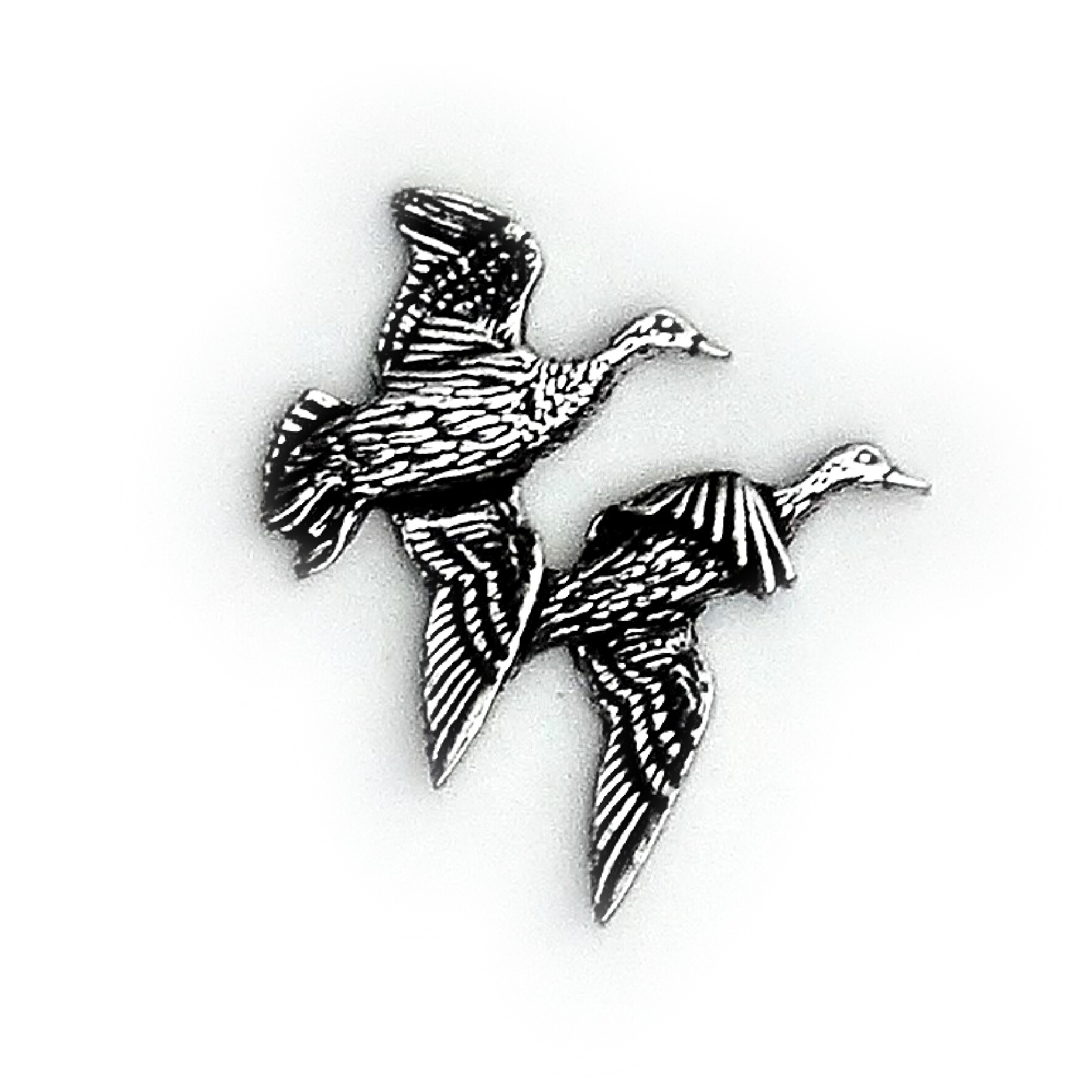Poľovnícky odznak kačice  